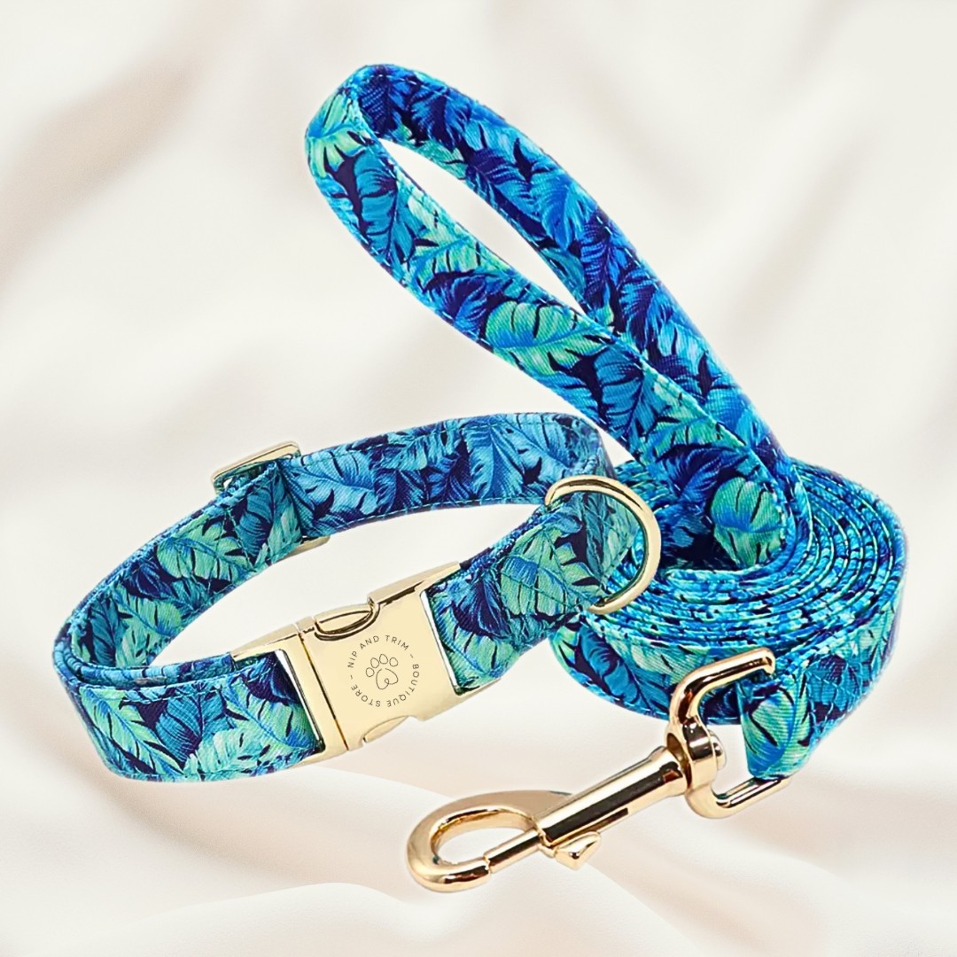 Custom Pet Tag and Collar with Lettering Identity Card