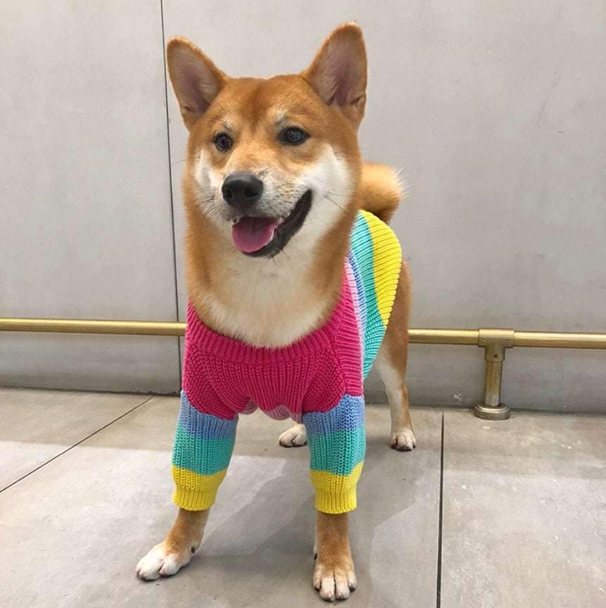 Rainbow Sweater for Small Pets, Puppy Clothes