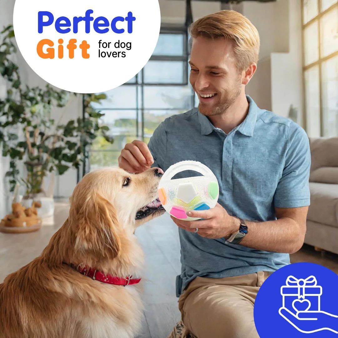 Durable Football-Shaped Pet Chew and Squeak Toy