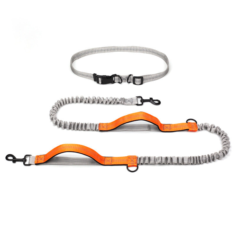 Multifunctional Reflective Double Telescopic Pet Leash and Lead Rope