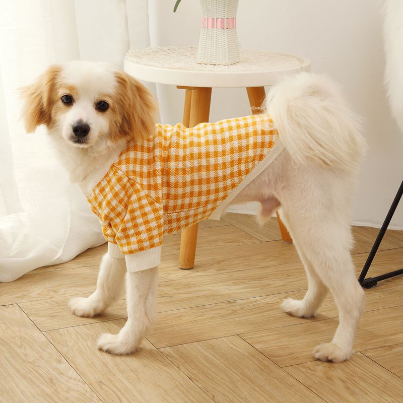 High Collar Windproof Fashion Sweater for Pets