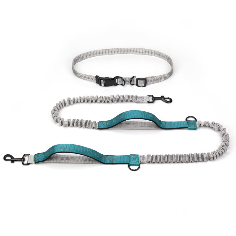 Multifunctional Reflective Double Telescopic Pet Leash and Lead Rope
