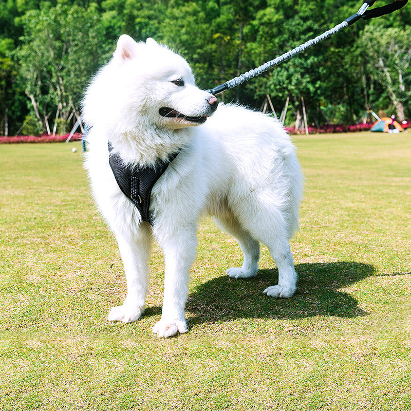 Bianmu Medium Pet Walking Leash