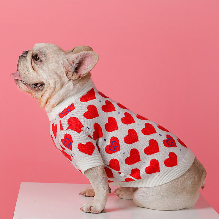 Knitted Sweater for Small Pets