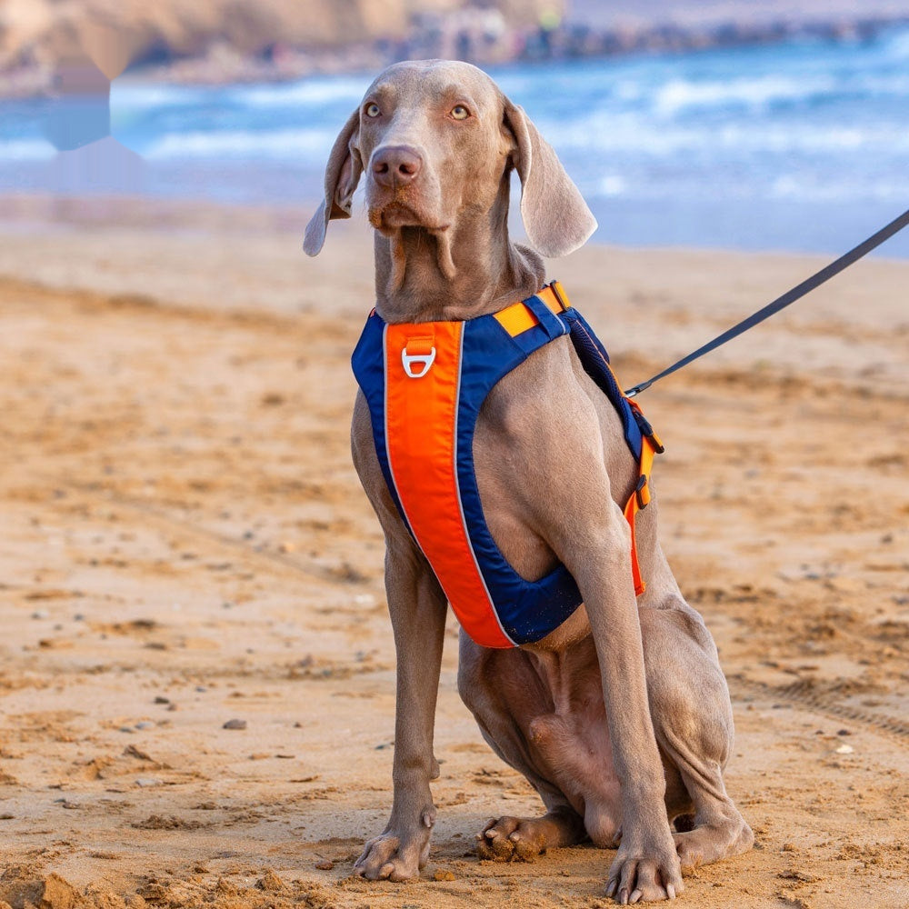 Hand Rope with Vest-Style Pet Chest Strap