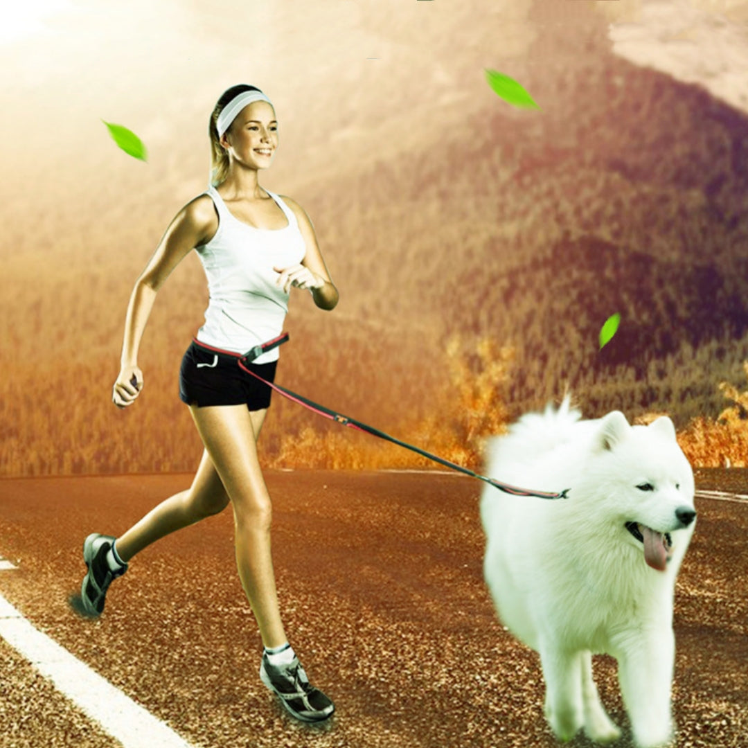 Pet Running Traction Belt with Explosion-Proof Handheld Rope