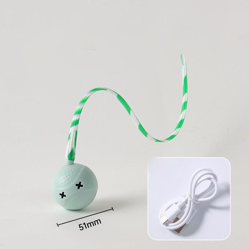 Interactive Electric Motion-Activated Pet Toy Ball