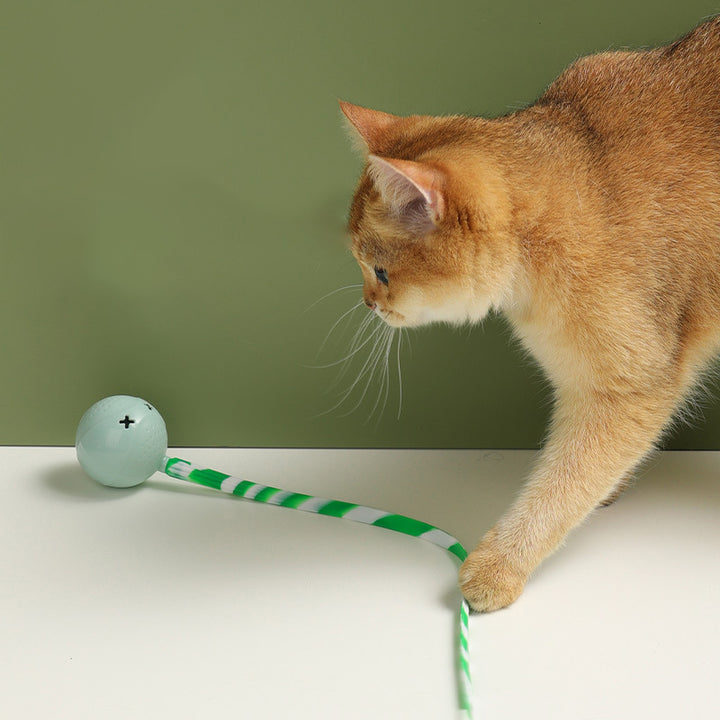Interactive Electric Motion-Activated Pet Toy Ball