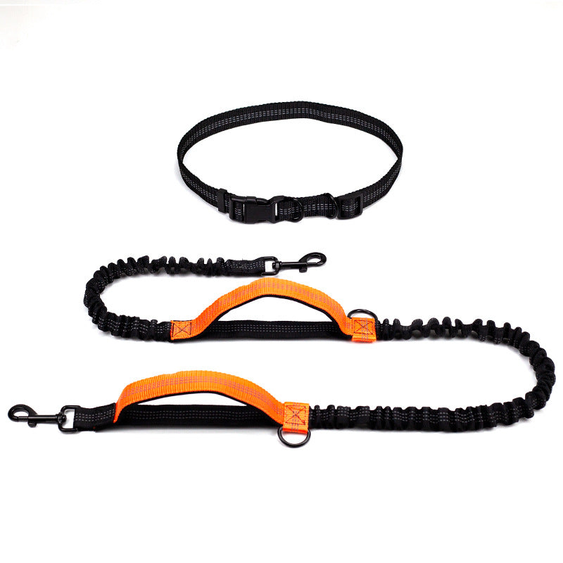 Multifunctional Reflective Double Telescopic Pet Leash and Lead Rope