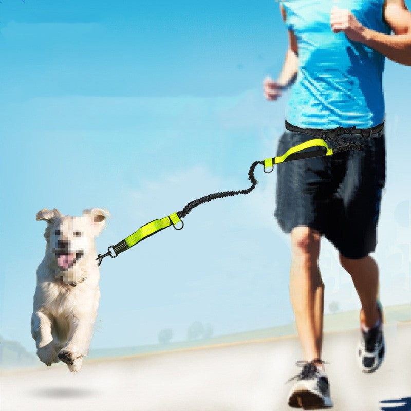 Multifunctional Reflective Double Telescopic Pet Leash and Lead Rope