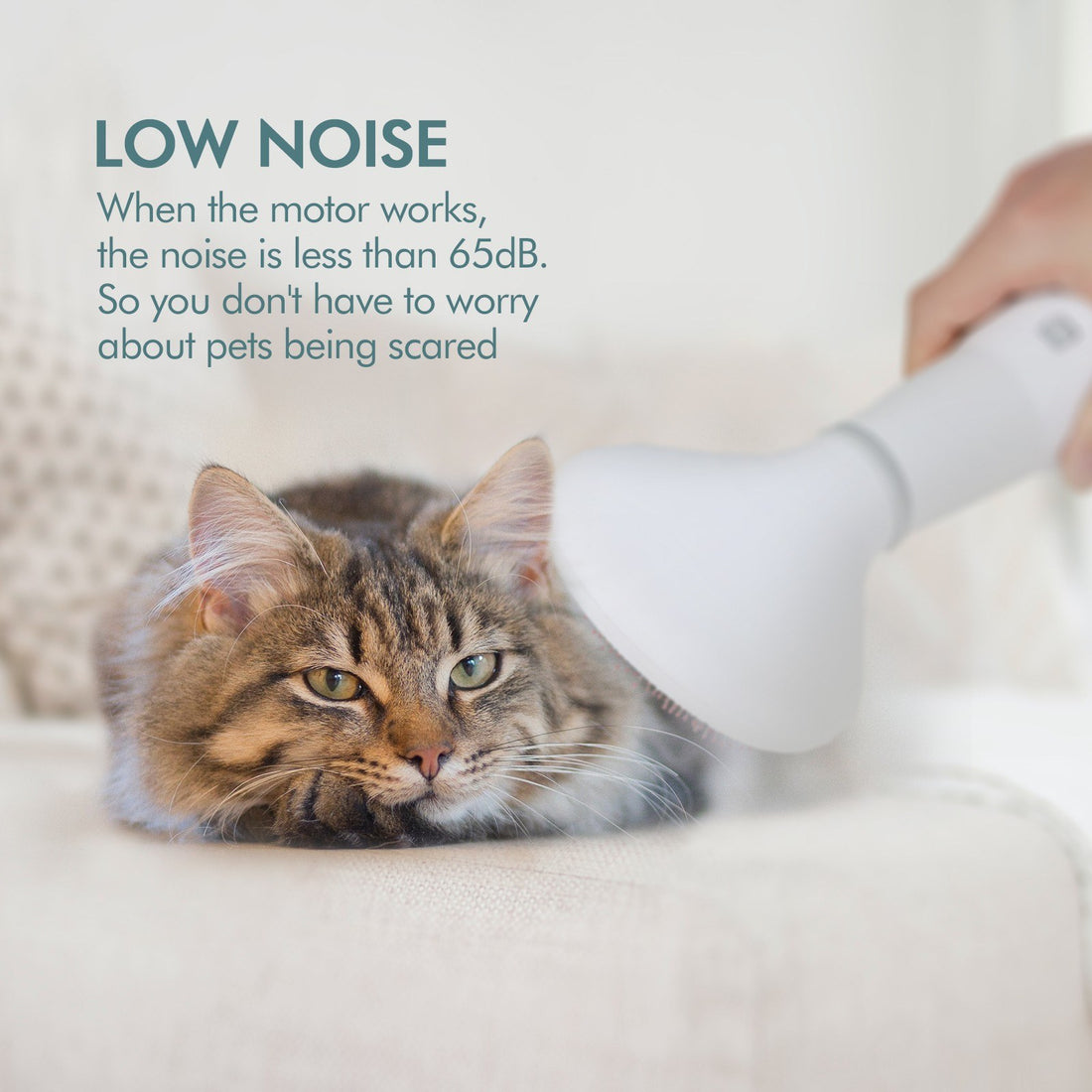 Dadypet Pet Hair Dryer and Grooming Slicker Brush