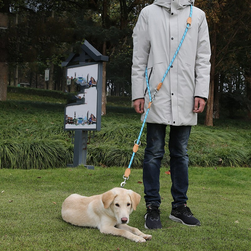 Multifunctional Hook and Chain Leather Pet Leash
