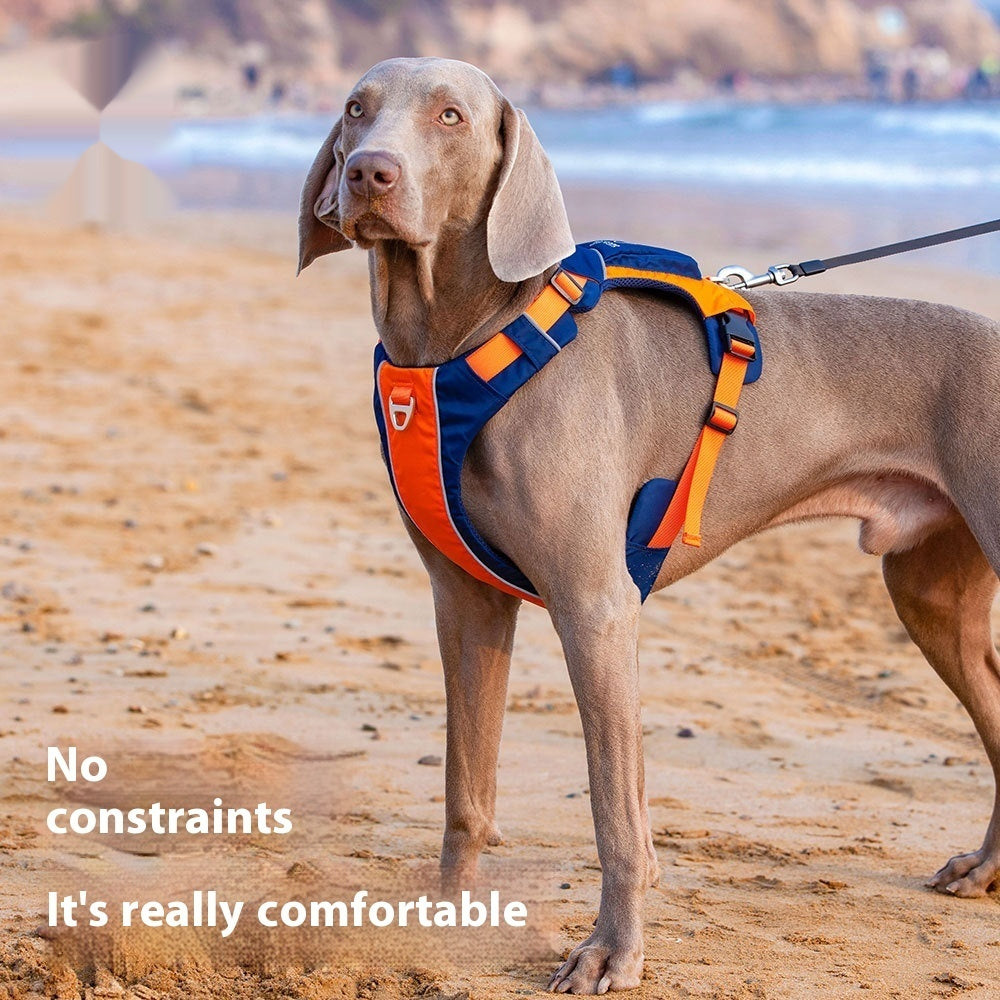 Hand Rope with Vest-Style Pet Chest Strap