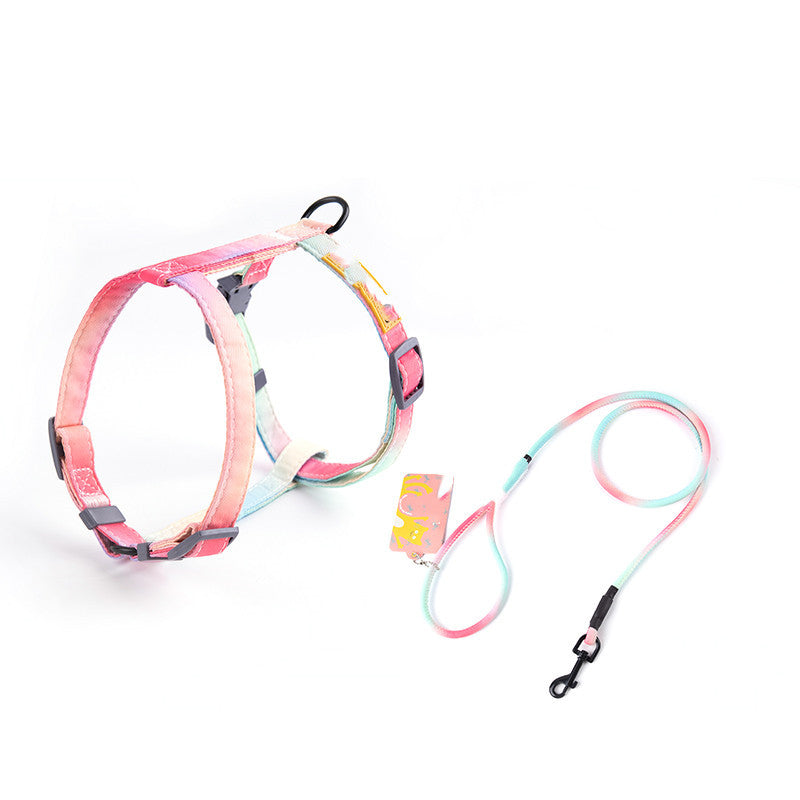 Fashionable Pet Leash to Prevent Escape