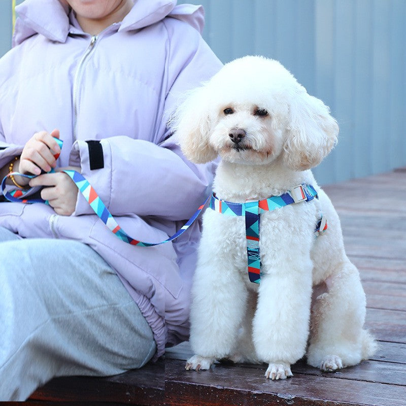 Pet Vest with Printed Design and Haulage Rope Set