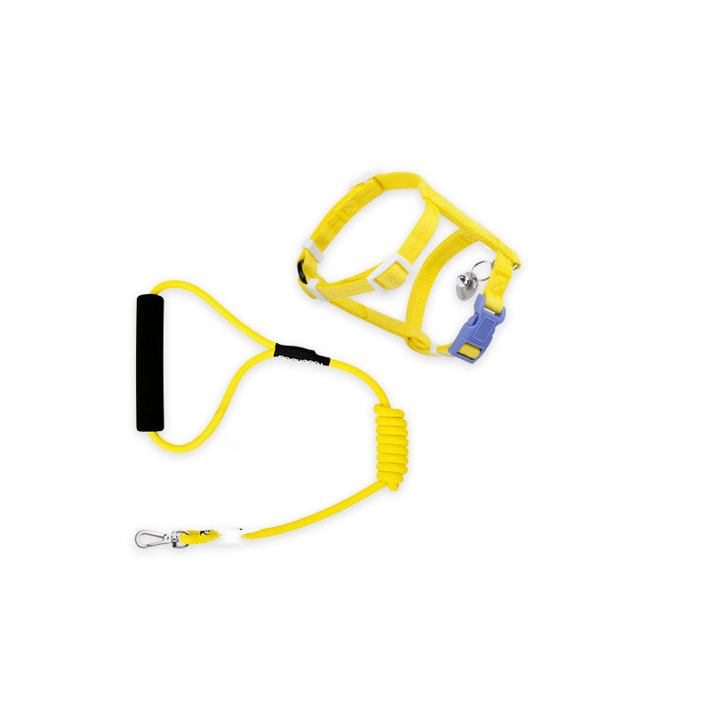 Fashionable Pet Leash to Prevent Escape