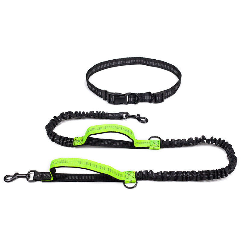 Multifunctional Reflective Double Telescopic Pet Leash and Lead Rope
