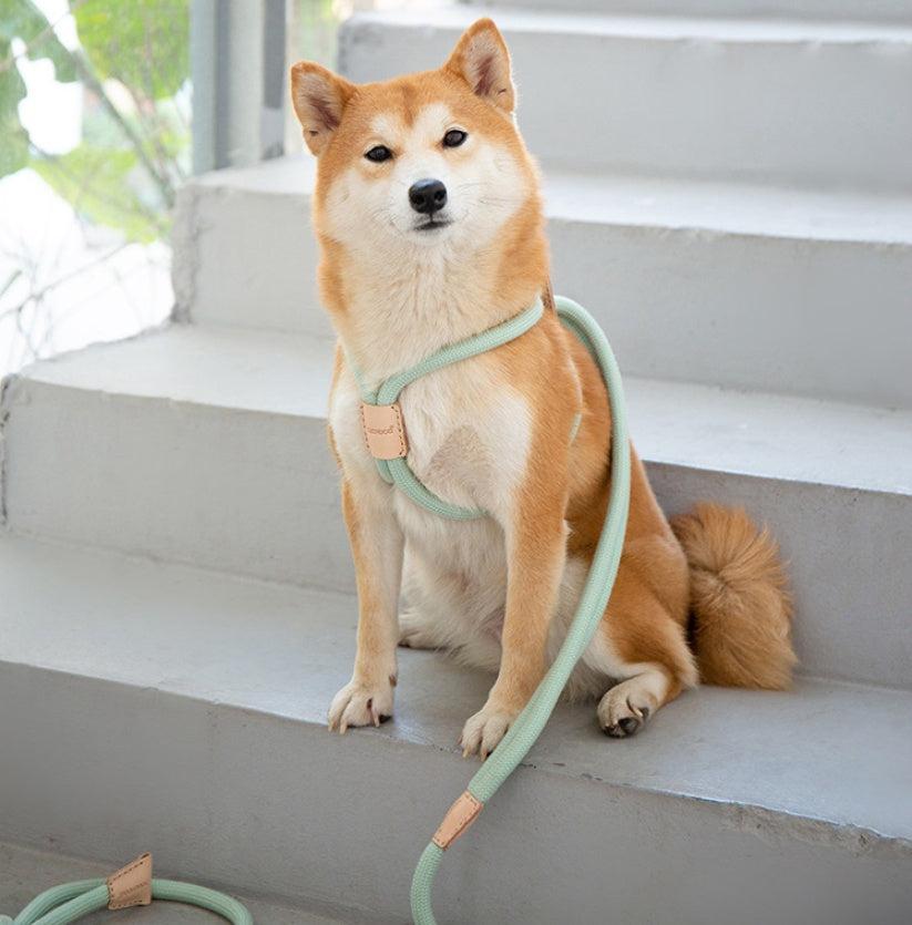 Dual-Purpose Integrated Round Rope Leash for Pets
