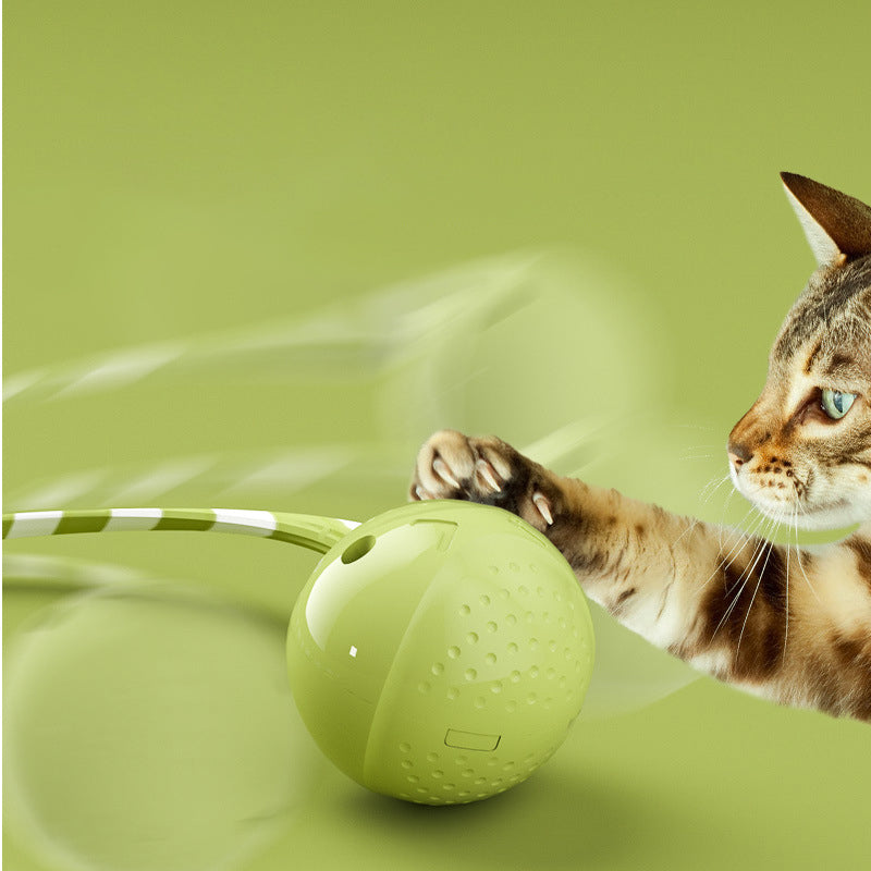 Interactive Electric Motion-Activated Pet Toy Ball
